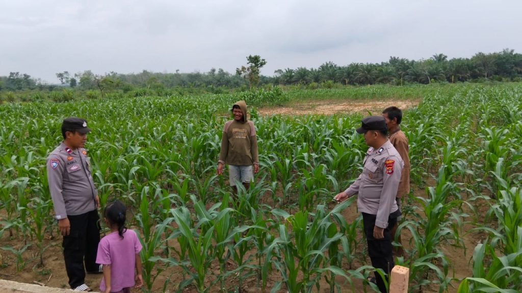 Polsubsektor Mesuji Pusat Gencar Sambang dan Binluh, Tingkatkan Ketahanan Pangan di Tingkat Desa
